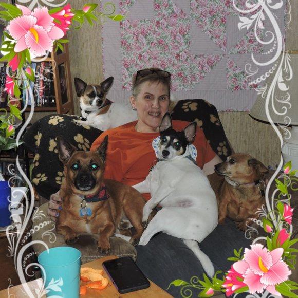 Meet your Posher, Chris - Picture 1 of 1